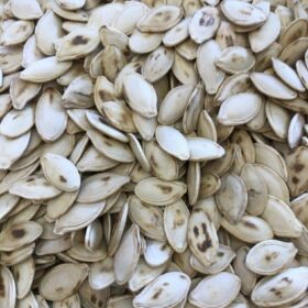 TUZSUZ KABAK ÇEKİRDEĞİ