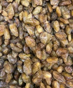 ÇEKİRDEKLİ ÜZÜM