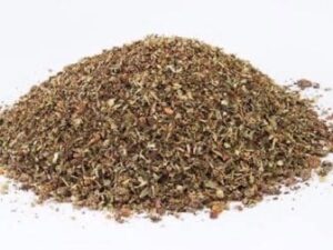 Alternative view of SALATA BAHARATI