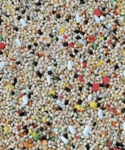 VİTAMİNLİ KUŞ YEMİ