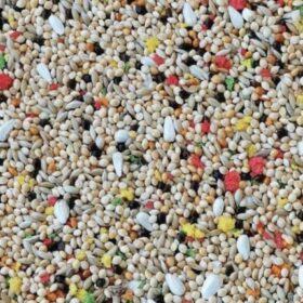 VİTAMİNLİ KUŞ YEMİ