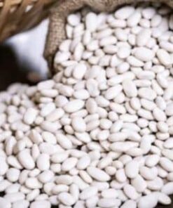 KURU FASÜLYE ( GEZİN )