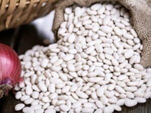 KURU FASÜLYE ( GEZİN )