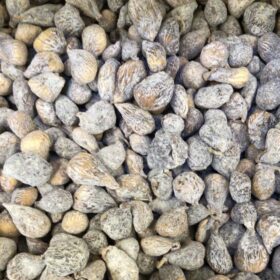 ÇERMİK DAĞ İNCİRİ